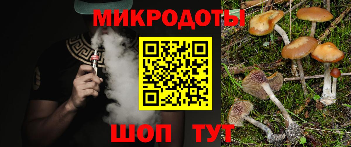 Галлюциногенные грибы Psilocybine cubensis Артём